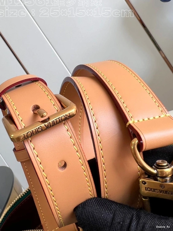 Vuitton 25 SPEEDY Louis 0810
